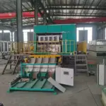 3000pcs per hour egg tray machine