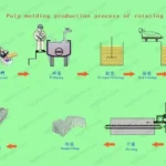 usine-de-fabrication-de-plateaux-d'oeufs-