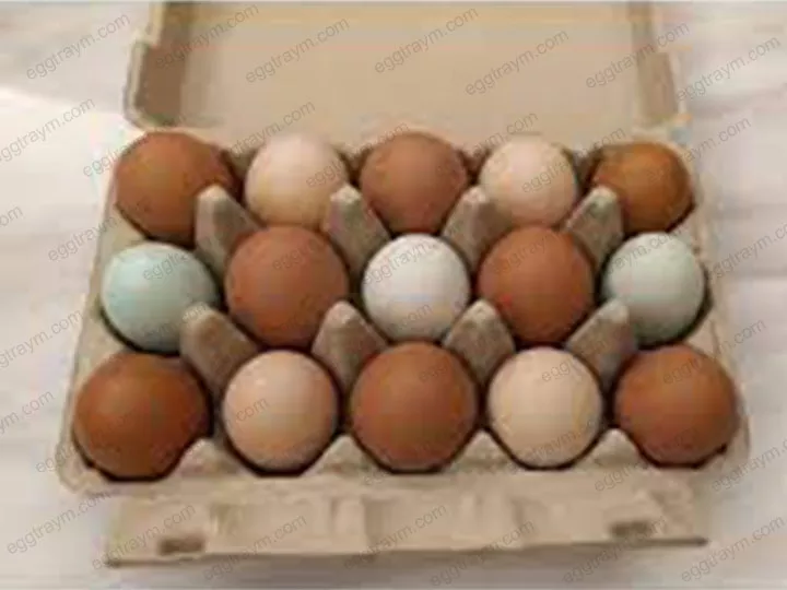 Egg tray