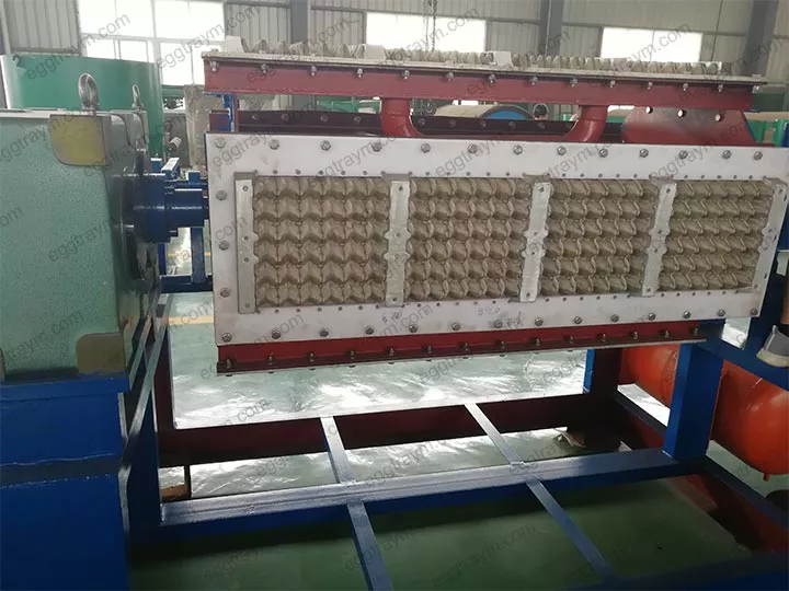 Raw materials and molding of egg trays