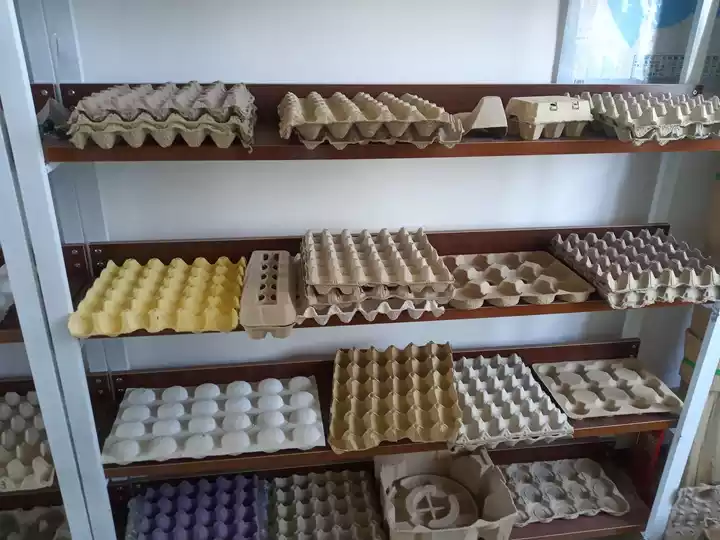 Mashine ya Kutengeneza Sinia ya Yai ya Semi-Otomatiki 1500Pc/H Inauzwa 1 Various paper egg tray finished products display