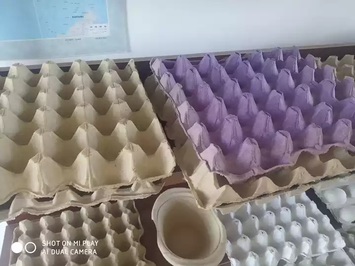 Production de cartons d'oeufs