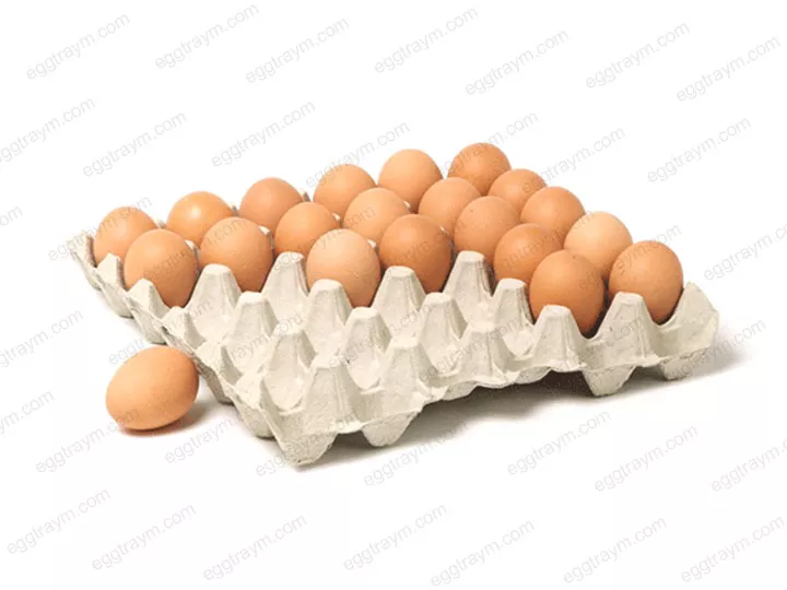 Máquina para fabricar bandejas de huevos de papel para huevos.