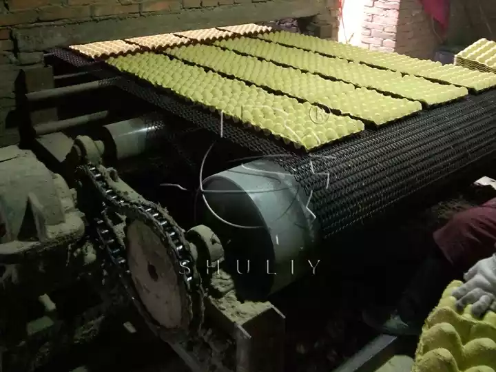 production de machine de moulage de cartons d'oeufs en papier