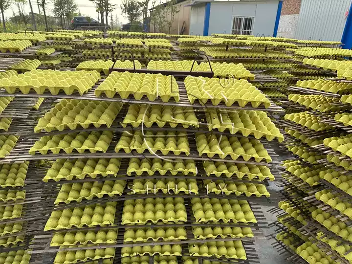 production finie de cartons d'oeufs