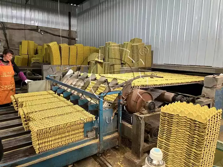 processus de fabrication de cartons d'oeufs