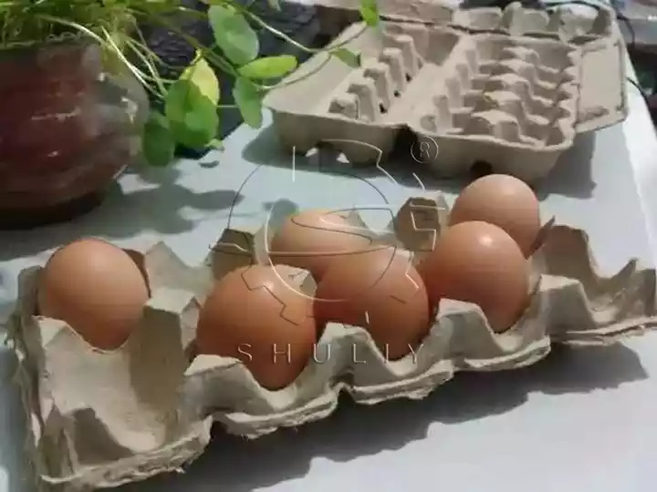 Biodegradable egg cartons