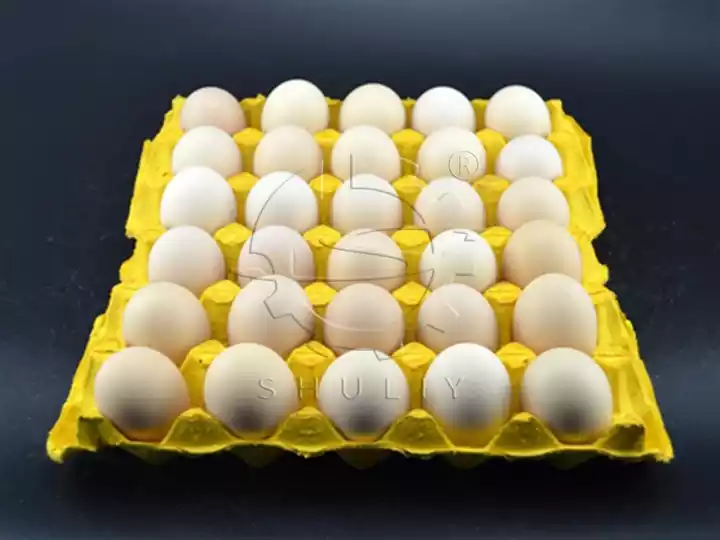 How To Make Eggs Last Longer? 1 Egg carton keep eggs fresh and organized