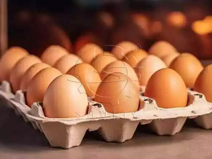How to Make Eggs Last Longer?