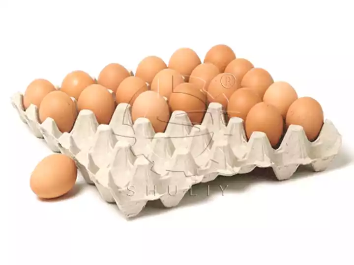 Vilket råmaterial är bäst lämpat för äggtraysmaskiner? 1 Tray ya yai