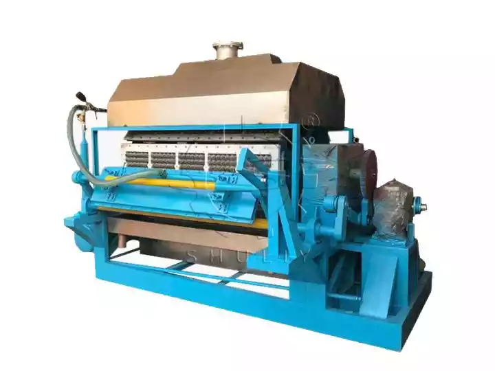 لماذا تعتبر آلات صواني البيض فرصة جديدة في اتجاه الحظر العالمي للبلاستيك؟