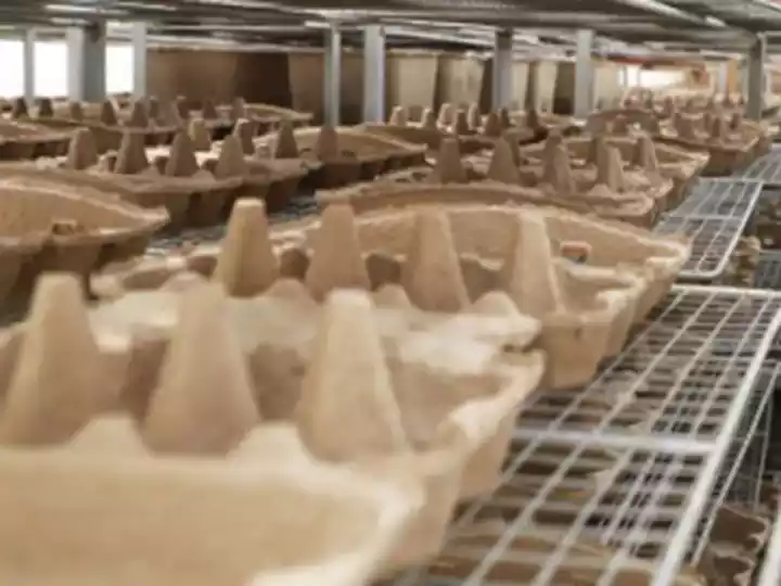 How To Reduce Energy Consumption In Egg Tray Drying? 2 Egg tray drying equipment