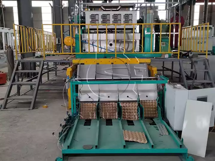 Linha de caixas de ovos de grande escala