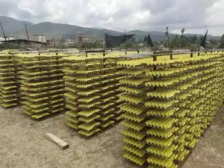 How To Reduce Energy Consumption In Egg Tray Drying? 3 Naturally air-dried egg trays