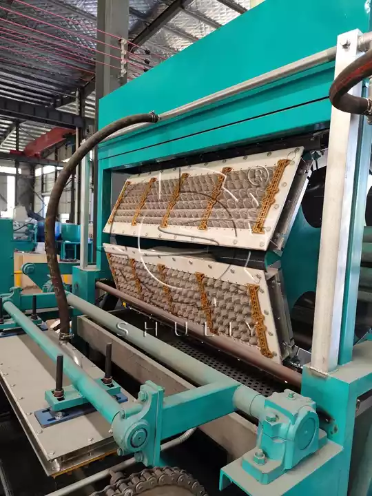 How Much Does An Automatic Egg Tray Machine Cost And Is It Worth It? 4 آلة صينية البيض الأوتوماتيكية