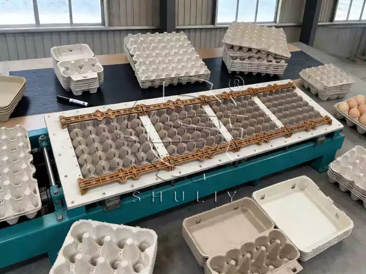 Machine de moulage de plateaux à œufs en papier