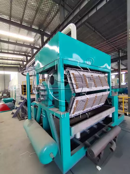 How Much Does An Automatic Egg Tray Machine Cost And Is It Worth It? 3 آلة تشكيل صواني الورق