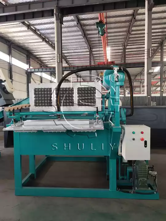 How Much Does An Automatic Egg Tray Machine Cost And Is It Worth It? 2 آلة صينية البيض الصغيرة