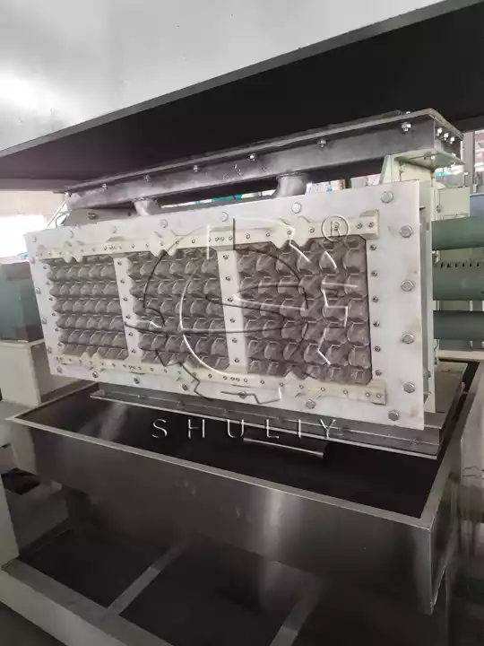 Automatic egg tray molding