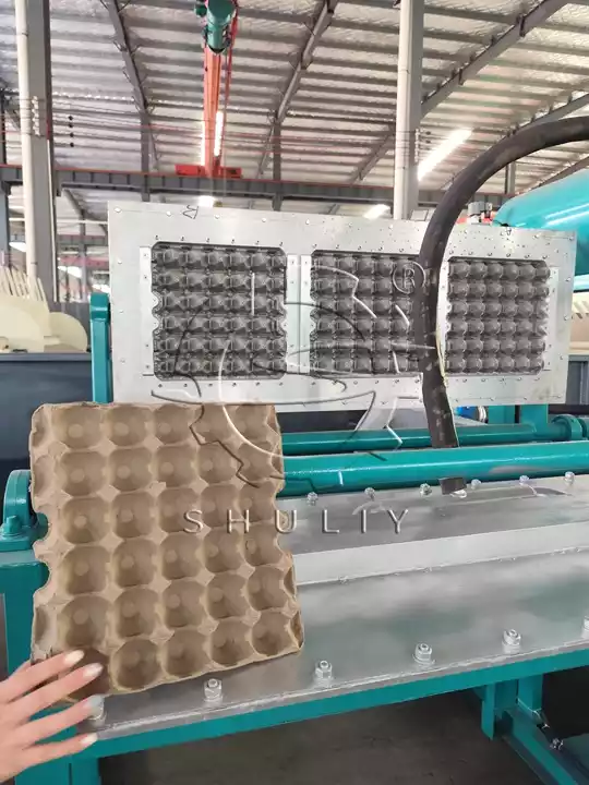 Maschine zur Herstellung von Eierschalen