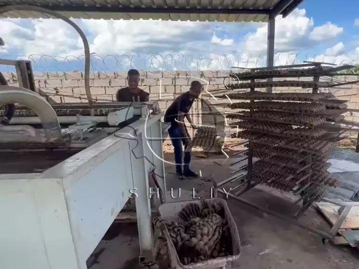 Egg tray molding machine