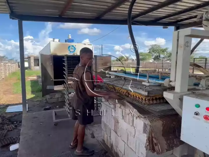 Egg tray production line feedback from zambia