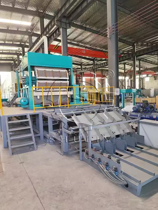 Produktionslinie für Eierablagen