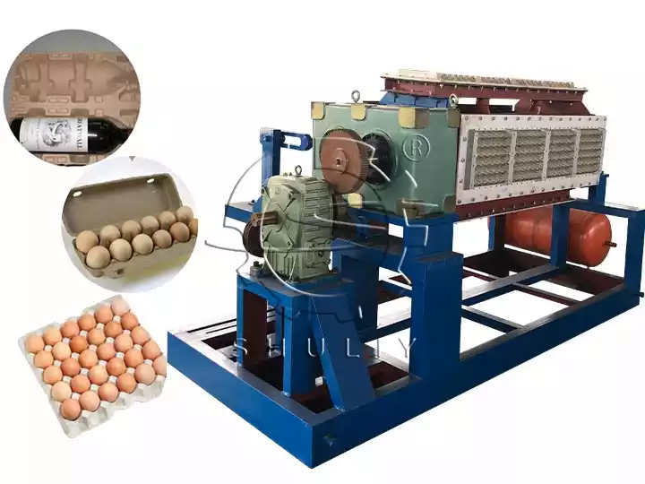 How to Choose an Egg Tray Making Machine? 5 Key Points All You Need to Know