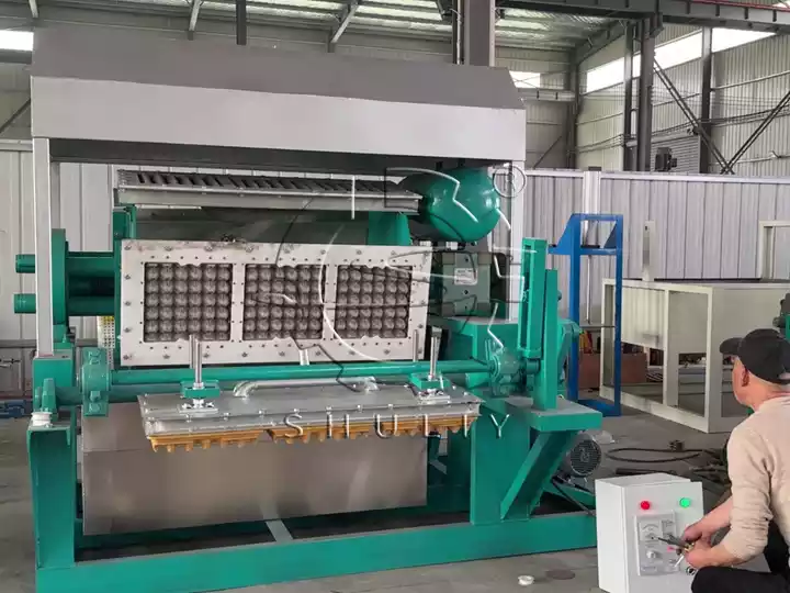 Petite machine à plateau à œufs