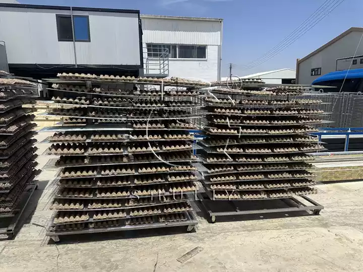 Egg tray finished production