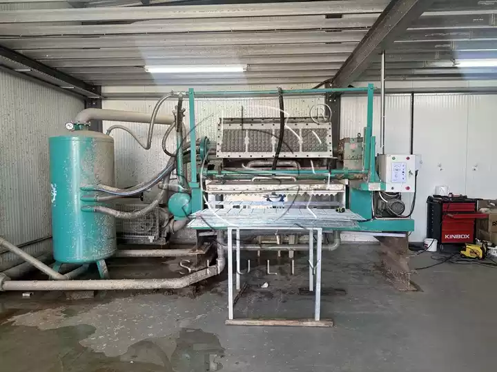 Installation of egg tray machine in cyprus