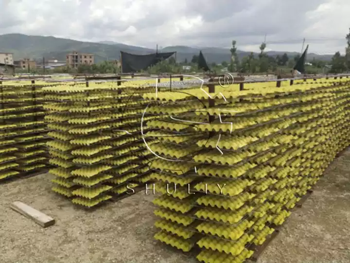 Air-drying egg trays naturally