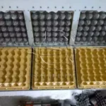 plastic molds