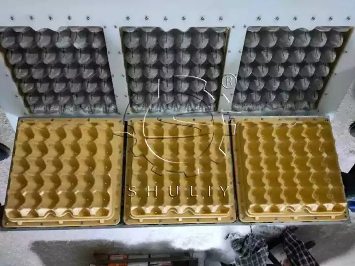 plastic molds