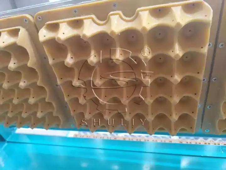 Paper tray plastic transfer mold