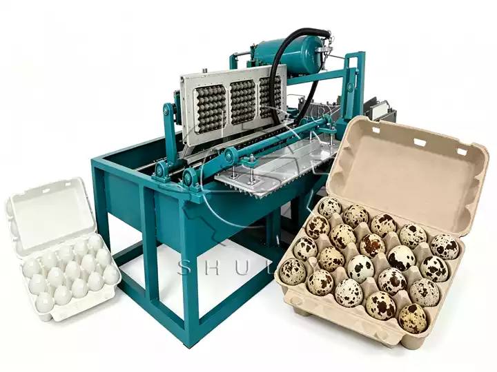 Quail Egg Tray Machine | Automatic Pulp Molding Production Line