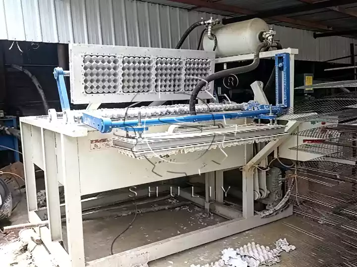 1500Pcs/H Egg Tray Machine Gains Repurchase From Long-Term Sudan Customer 1 1500pcs/h egg tray machine