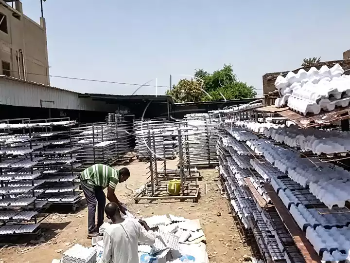Egg tray making machine feedback from sudan