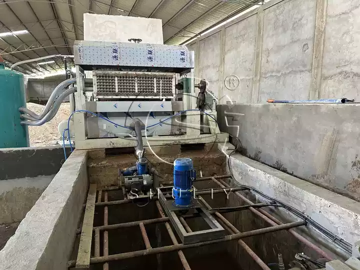 Egg tray processing line