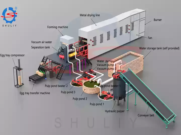 Paper pulp molding line