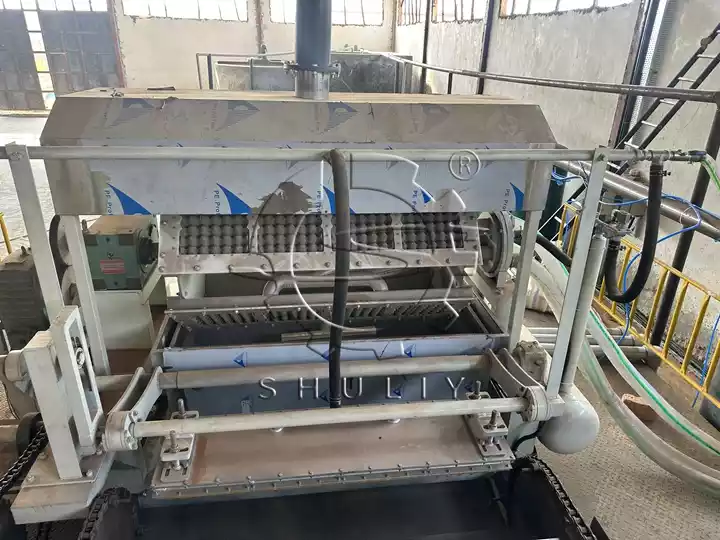 Machine de moulage de cartons à œufs