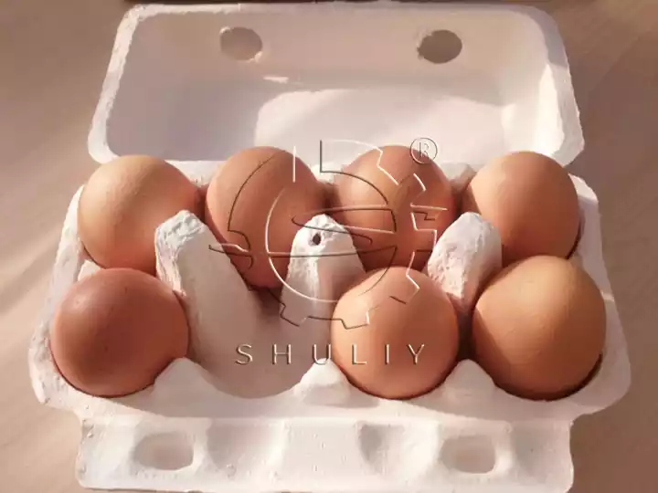 صواني البيض من لب الورق