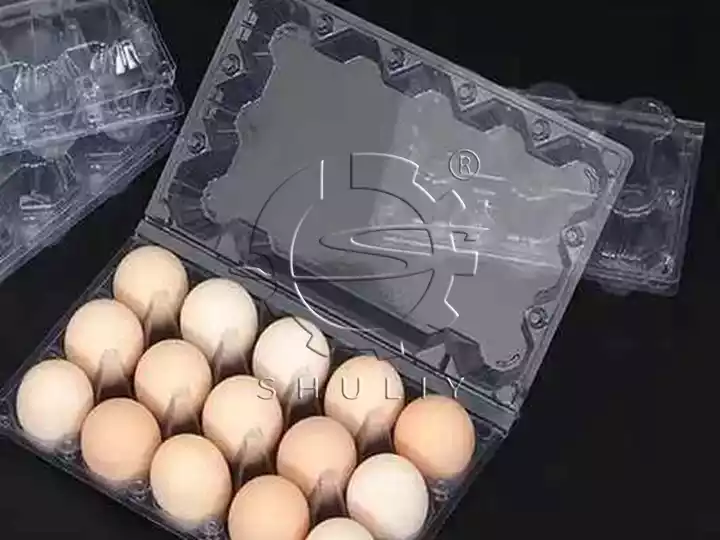 Plastic egg carton