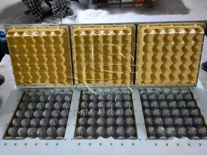 Plastic egg tray machine mold