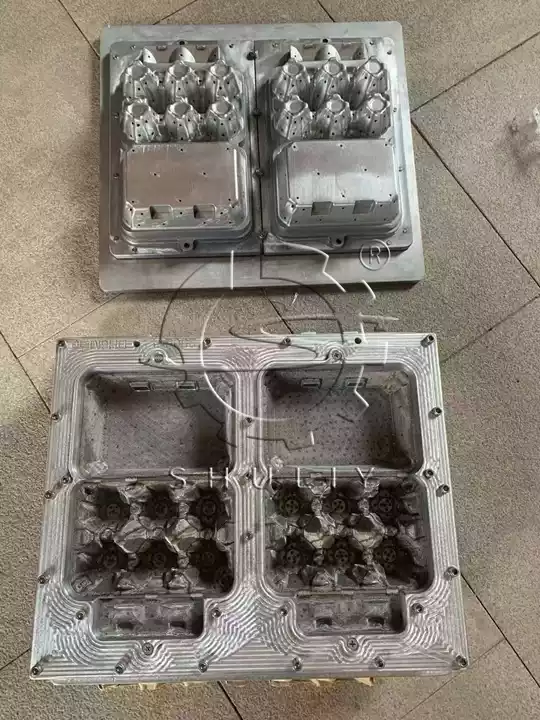 Custom egg carton mold