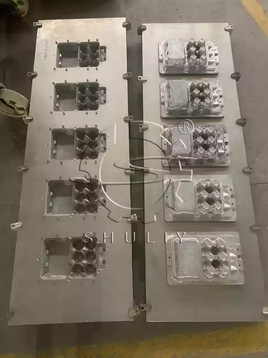 Egg carton mould