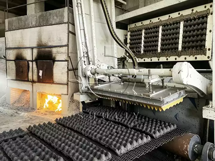 Egg tray processing plant with dryer