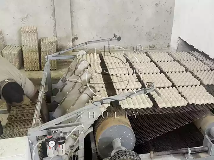 Egg tray production line project in tanzania