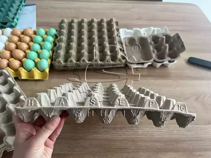 Producción de bandejas de huevos terminadas.