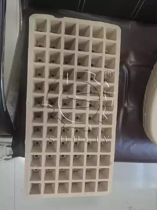 Can An Egg Tray Machine Make Biodegradable Pulp Seedling Trays With Custom Molds? 6 Multi cell biodegradable nursery plug tray sample